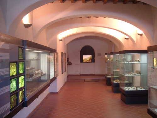 cetona si museo civico per la preistoria interno